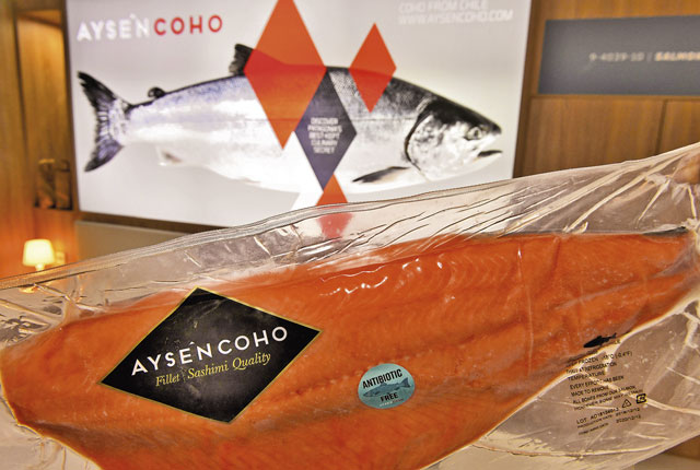 Salmones Aysen, l’ambassadeur du coho chilien - Produits de la mer
