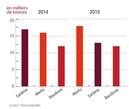 /tl_files/_media/redaction/1-Actualites/Marches/2016/2016-03/graph-merlu.jpg