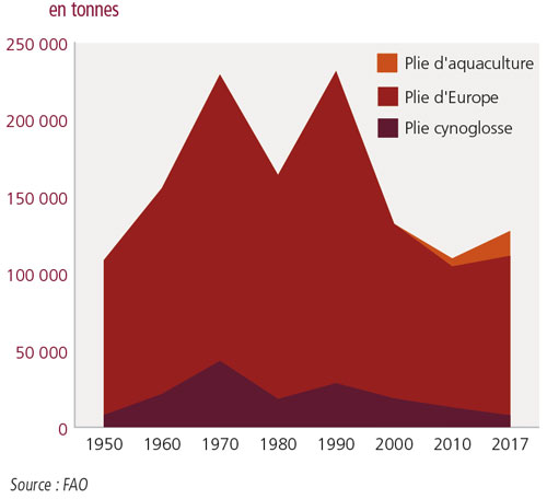 /tl_files/_media/redaction/1-Actualites/Marches/2020/202002/graph-plie2.jpg