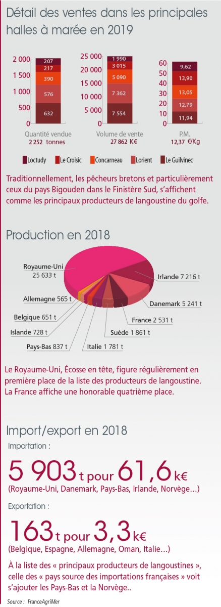 /tl_files/_media/redaction/1-Actualites/Marches/2020/202008/graph_langoustinesept.jpg