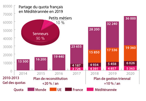 /tl_files/_media/redaction/1-Actualites/Marches/2020/202008/graph_thonrougesept.jpg